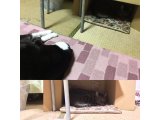 おはようございます。きょうも暖かい笑顔でよろしくお願いいたします。
