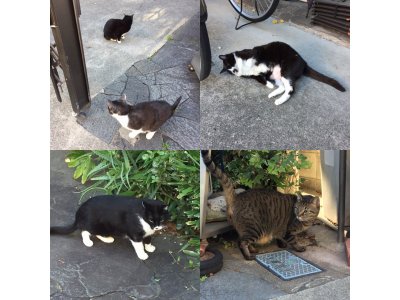 おはようございます。きょうも元気な笑顔で頑張りましょう。