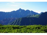 健康な土壌