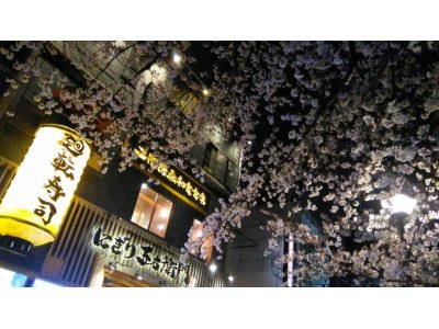 木屋町・夜桜②