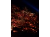 清水寺紅葉のライトアップ