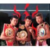 ボクシングの亀田興毅選手引退