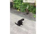 おはようございます。今週も元気な笑顔で頑張りましょう。