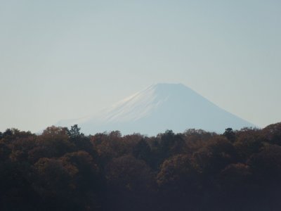 狭山丘陵