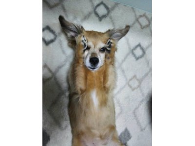 早っ!あと14日で・・・