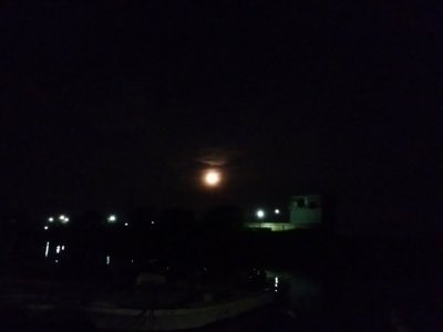 今宵は満月。