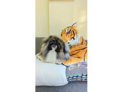 ピーちゃん