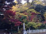 ふぐ処理責任者