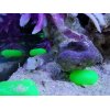 大きな水槽に癒される交通事故治療整骨院◎各種保険取り扱い・自賠責保険・労災◎