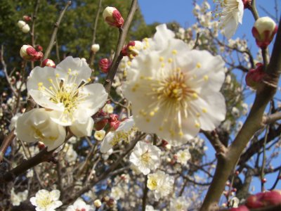 冷えは美容の大敵