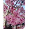 【土曜・祝日も開院の整骨院☆】首、肩、背中、腰の痛み◎交通事故、労災、健康保険対応しています！