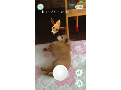 げっ・・・！　とうとう我が家にもポケモン現る！