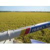 10/29【モチ米、本刈取初日の朝日】