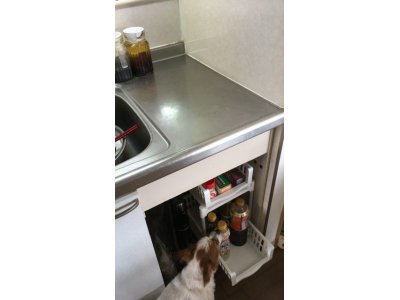 食器洗浄機撤去③