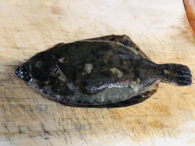 骨切り大変です