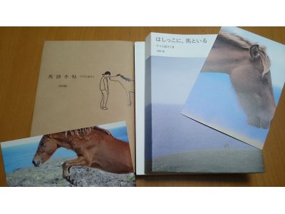 『ウマと話そうⅠ・Ⅱ』を読む