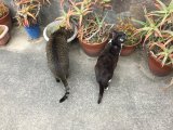 おはようございます。きょうもハッピーな笑顔で頑張りまーす。