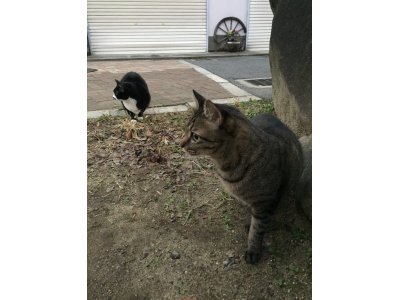 おはようございます。今週も輝く笑顔でよろしくお願いいたします。