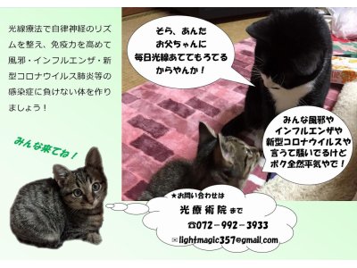 光療術院にゃんこ劇場　光線療法で感染症に負けないぞー