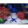 アオヒトデさんもいます◎内装がおしゃれな交通事故治療整骨院☆労災取扱☆渋谷