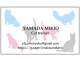 名刺/カード印刷カラー