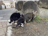 おはようございます。きょうも一日、元気な笑顔で頑張りまーす。
