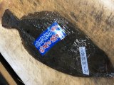 月曜日も厳選食材仕入れてきました