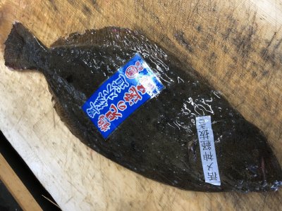 月曜日も厳選食材仕入れてきました