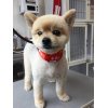 本日のお客様♪