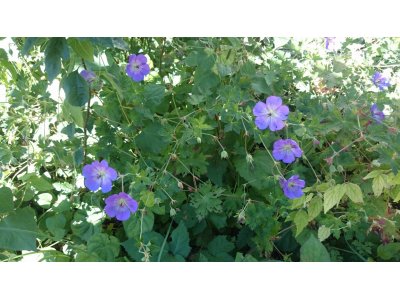 本日6時~9時まで貸切です
