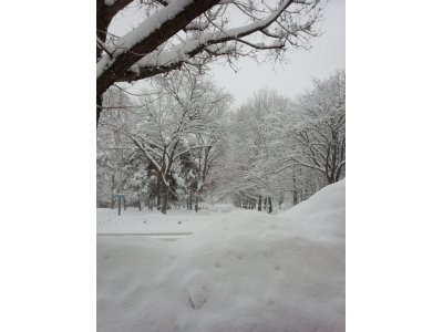 雪景色