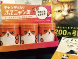 ふてにゃん缶もらえるんだべー!