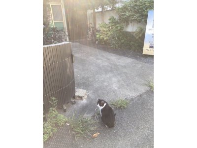 おはようございます。きょうも元気な笑顔で頑張りましょう。