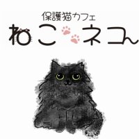 保護猫カフェ　ねこネコ