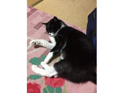 おはようございます。きょうもハッピーな笑顔で頑張りましょう。
