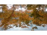 11月28日(土)はお休み