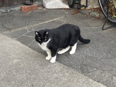 おはようございます。きょうもコロナに負けない元気な笑顔で頑張りましょう。