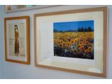 展示替え