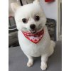 本日のお客様♪