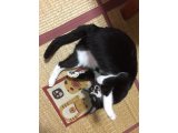 おはようございます。きょうもハッピーな笑顔でよろしくお願いいたします。