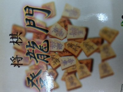 レアなゲームの商品情報
