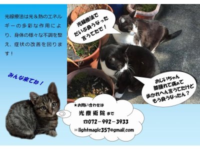 光療術院（ひかりりょうじゅついん）にゃんこ劇場