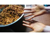 タイ式子宮バランスセラピー