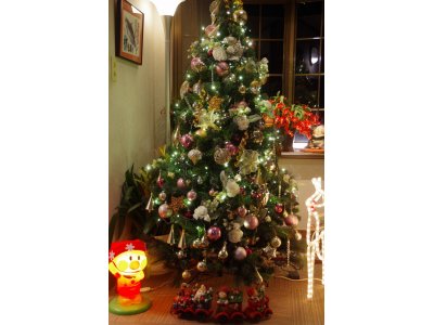 ★　今年のクリスマスツリーはワンランクアップしました。