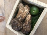 本日も旨いもん大量仕入れです