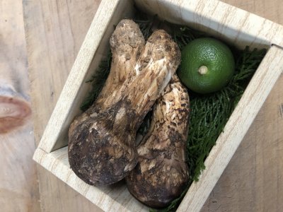 本日も旨いもん大量仕入れです