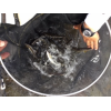 本日の友釣りの釣果です。