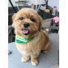 本日のお客様♪