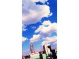 テレビドラマ