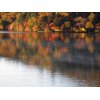 今週末より、湯の湖の紅葉がピークを迎えます。